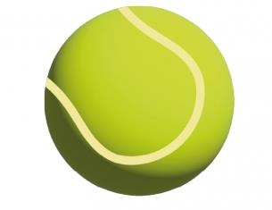 HUCHA PELOTA TENNIS